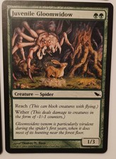 Near Mint Lot of 4 MTG Juvenile Gloomwidow Shadowmoor 121/301 Regular Common