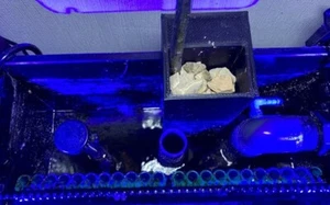 No Splasing - Geräuschloser Überlauf Meerwasser Aquarium Ablauf Geräusche - Bild 1 von 6
