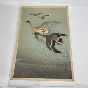 Impresión en madera japonesa Koson Shoson Ohara pato volador arte vintage envío gratuito JP Japón - Imagen 1 de 8