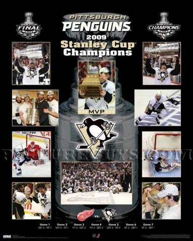 Pittsburgh Penguins 2009 Stanley Cup Championship Picture Plaque Cover