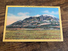 Vintage Mt. Nebo Salt Lake City Utah Nephi Postcard
