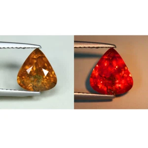 2,85 Cts_Außergewöhnliche Veränderung_ 100 % natürlicher Farbwechsel Granat_Srilanka - Bild 1 von 5