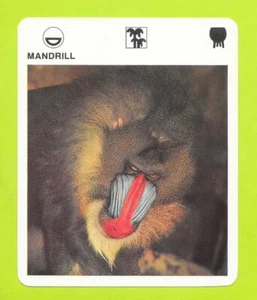 Fiche - Le livre de Paris - 1975 - Mandrill - Foto 1 di 1