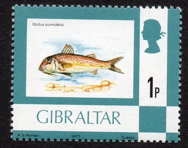 Gibraltar 1977 SG #375w 1p pez MNH Foto 1 de 1