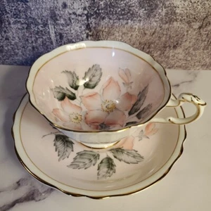 Paragon Teacup And Saucer Blush Pink Floating Dogwood Double Warrant - Picture 1 of 12