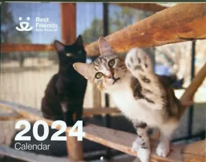 SAMMLERKALENDER - 2024 - BEST FRIENDS TIERVEREIN - KÄTZCHEN, WELPEN, PFERD - Bild 1 von 2