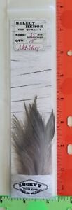 LUCKY7 Select  " Heron " Qty: 15  "  Nat. Grey  "  ( 3.5"  Inch long Feathers )