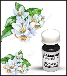 Jasmine Essential Oil 100% Pure Undiluted (10ML-500ML) - Picture 1 of 1