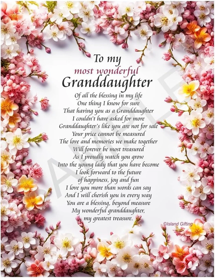 Моей самой замечательной внучке - напечатано 8 X 10 алюминиевый металлический знак - день рождения - Изображение 1 из 1