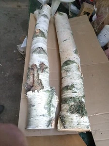 Birkenast, Stamm, Zweig 80 cm 7 bis 10 cm Durchmesser Dekoration Birke Ast - Bild 1 von 11