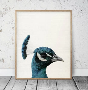 Estampado de arte animal estampado de pavo real, arte de aves, pavo pavo real obras de arte de pared, decoración del hogar - Imagen 1 de 5