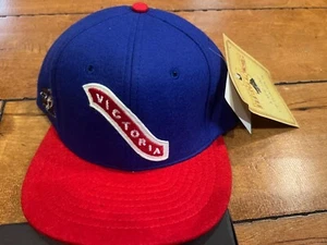 De colección Victoria Cougars 1912 Throwback Heritage LANA Hockey Snapback Sombrero Romano - Imagen 1 de 7