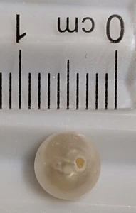 Very small DRILLED SALT WATER PEARL from AUSTRALIA (#F6700) - Bild 1 von 1