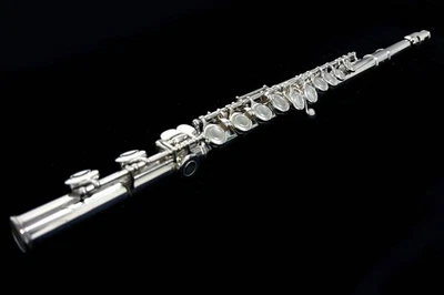 YAMAHA YFL-211S ll Flauto Argento Meccanismo E Usato con Custodia Rigida... - Immagine 1 di 4