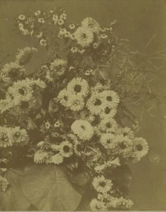 France Still Life Flower bouquet study Old Photo 1870 - Picture 1 of 3