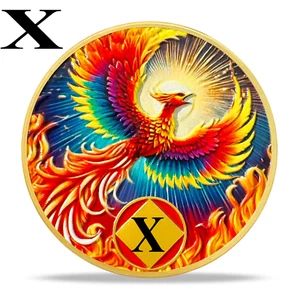 Color Phoenix 10 Year Na Medallion - Reborn from Fire Sobriety Coin - Sober Gift - Picture 1 of 14