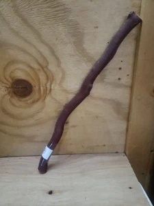 Red Manzanita branch 18" #108 - Picture 1 of 4