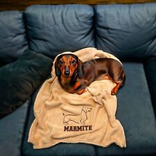 Dachshund Hand Made Embroidered Personalised Dog Blanket Choice of 8 Colours