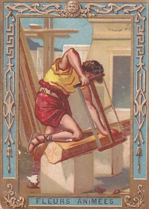 Chrom Schokolade Fohlen Animierte Blumen 2 Kalender 1903 - Bild 1 von 2