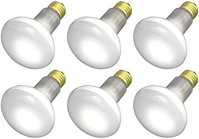 (6 件装)30R20/FL 120V - 30 瓦 R20 泛水 - E26 底座 30W - 灯泡 — 第 1/4 张图片