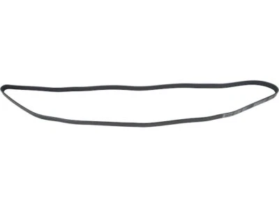 Cinturón multi costilla para Mazda B3000 1998-2008 API 55586 PUERTAS 1999 2000 2001 2002 2003 Foto 1 de 2