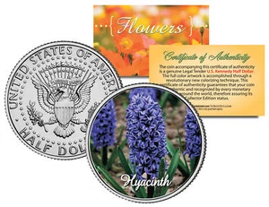 HYACINTH FLOWER JFK Kennedy Half Dollar US colorierte Münze - Bild 1 von 1