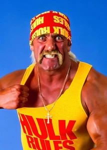 Collar Cruz Hulk Hogan Foto Póster WWE Reglas Hulk - Imagen 1 de 1