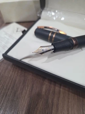 Pluma Estilográfica Visconti Homo Sapiens 46602 Plumín Fino Pluma Estilográfica con Estuche Foto 1 de 4