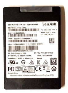 SD7TB6S-256G-1001 SanDisk X300 SATA 2,5" 256GB Interne Solid State Drive - Bild 1 von 3