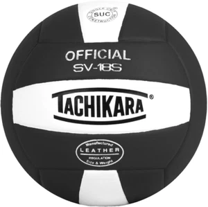 Institutional Quality Composite Volleyball, Black-White - Picture 1 of 1