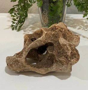 Natural Brown Cream Colored Rock With Holes For Aquarium Terrarium Fish Tank - Picture 1 of 8