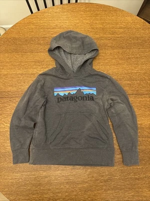 Sudadera con Capucha Patagonia Juvenil Unisex Gris Pequeña  Foto 1 de 4