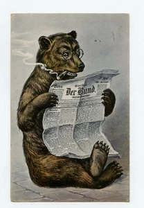 Illustrator Non Signed. Bear Humanized. Bear - Picture 1 of 2