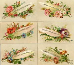 SET OF 6*UNION CARD COMPANY PRINTERS*MONTPELIER VERMONT*VT*FEATHERS & FLOWERS - Picture 1 of 12