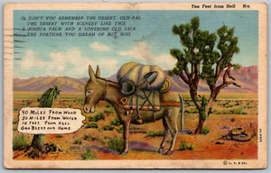 Albuquerque New Mexico 1957 Postcard Burro Ten Feet From Hell Rattlesnake - Picture 1 of 2