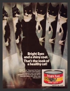 Bright Eyes 1980s Print Advertisement Ad 1983 Cat Food Black & White Mirrors - Picture 1 of 1