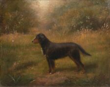 1915 English Portrait Of A Gordon Setter Dog Henry Crowther (1905-1939)