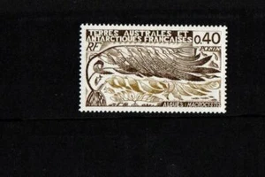 FRENCH SOUTHERN & ANTARCTIC TERRITORIES 1977 SG115 SEAWEED MNH - Picture 1 of 1