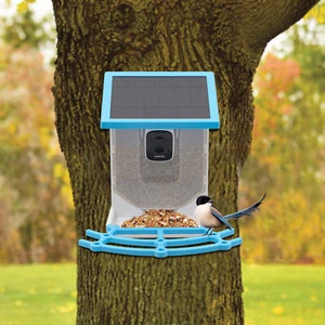 Waterproof Solar Bird Feeder 4MP HD Camera Live AI Recognition Birds with PIR - Picture 1 of 14
