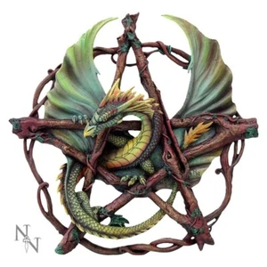 Placa de Pared Dragón Pentagrama Bosque Verde Némesis Now Anne Stokes - Imagen 1 de 2