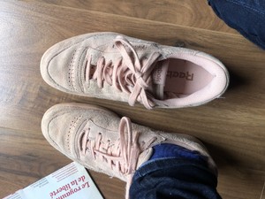 basket rose pale