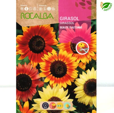ROCALBA Girasol Beaute d'Automne ( 10 gr / 300 semillas ) Helianthus annuus seeds flores