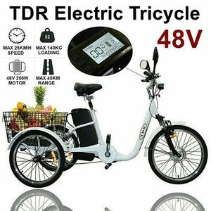 48V E-Bike eTRIKE 250W Electric Tricyle Bike Food Delivery 3 wheel cargo Storage - Picture 1 of 12
