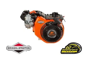 GO Kart | Briggs & Stratton LO206 Motor 124332-8201 - Bild 1 von 1