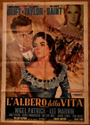 MANIFESTO  ORIGINALE  FILM "L'ALBERO DELLA VITA "-1957-  DIS.  CASARO