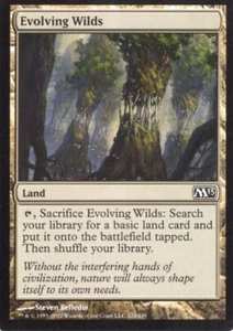 4X EVOLVING WILDS 224/249 CORE SET 2013 M13 MTG MAGIC LP X4 - Picture 1 of 1