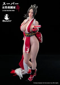 Modellino in silicone NINJA CAT Mai Shiranui Female Fighter scala 1/6 - Foto 1 di 3