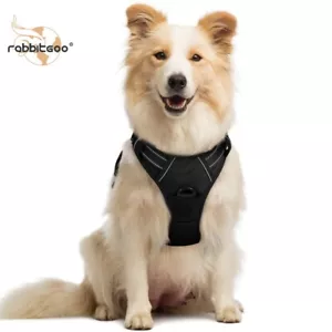 rabbitgoo Dog Pet Harness No Pull Pet Control Adjustable Reflective Collar Black - Picture 1 of 14