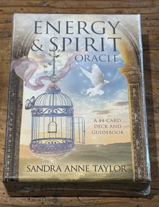 TRANSIENT LIGHT TAROT by Ari Wisner 82 Card DECK & GUIDEBOOK New SEALED - Imagen 1 de 4