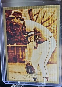 Vintage Larry Bird 1994 Ted Williams Insert Card #LP1